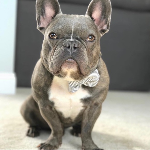 Meet your Posher, Florian - Picture 1 of 1